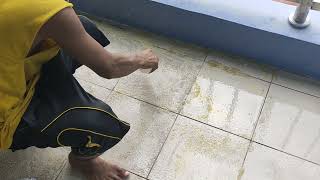 How to Remove Unremovable Stain amp Dirt in TilesFloor amp Wall Tiles Using Muriatic AcidHousekeeping [upl. by Ysdnyl]