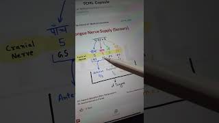 Sensory nerve supply of tongue neetpg inicet fmge usmle [upl. by Aerdnek13]