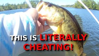 The Most CONTROVERSIAL Technique In Fishing [upl. by Ahsitam]