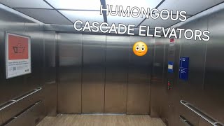 HUMONGOUS 2016 Cascade Hydraulic Elevators  IKEA Renton WA [upl. by Assilim]