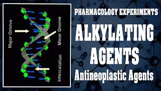 Alkylating Agents  Antineoplastic Agents  Pharmacology Experiments [upl. by Sabine443]