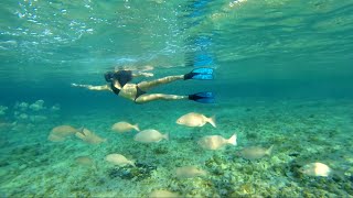 Top Things to do in Cozumel Mexico [upl. by Alyda]