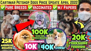 UPDATED PET PRICELIST IN CARTIMAR PET CENTER ARPRIL 2022  DOGS PRICELIST PHILIPPINES 2022 [upl. by Artemed]