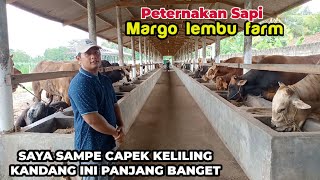 Sukses Kembangkan Usaha Dari Orang TuaBerawal Dari Beberapa Ekor Sekarang Jadi Ratusan [upl. by Yard]