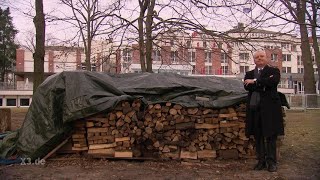 Realer Irrsinn Baugenehmigung für Holzstapel  extra 3  NDR [upl. by Roobbie]