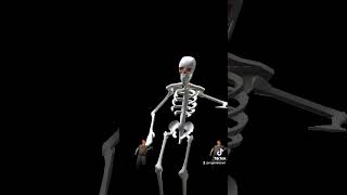 Working on some skeleton dancing duet furry washington [upl. by Nerfe763]