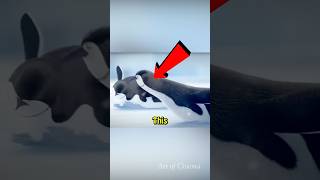 This Penguin was Being Bullied shorts viral [upl. by Sathrum265]