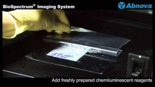 BioSpectrum® Imaging System [upl. by Cordy]