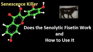 Does the Senolytic Fisetin Work and How to Use It Senescence Killer [upl. by Larissa893]