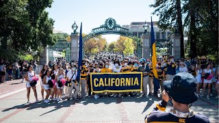 UC Berkeley Undergraduate Admissions Live QampA [upl. by Blatt]