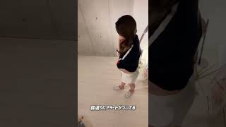 初マタニティ マタニティ マタニティライフ 妊婦の日常 妊婦 ベビーカメラベビーモニター [upl. by Adierf304]