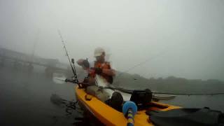 Big striper on the Housatonic river [upl. by Mag]