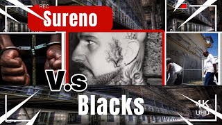 SURENO VS BLACKS IN JAMESTOWN USP RIOT [upl. by Wehner]