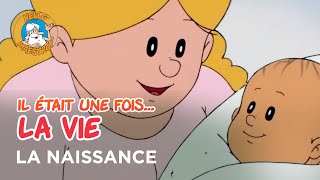 Il était une fois… la Vie 🌱 La naissance 👶 [upl. by Ssor]