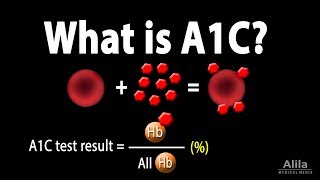 A1C Test for Diabetes Animation [upl. by Anaeli]