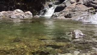 Lagoa do Vento  Madeira Levada Walk [upl. by Zilber433]