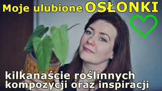 💚Roślinne inspiracje 💚 kilkanaście roślin 17 w ulubionych osłonkach 😍 [upl. by Anitnahs]