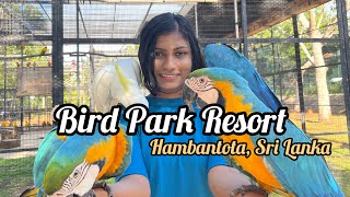 Hambantota Bird Park Resort  Sri Lanka  Hotel Review [upl. by Glad]