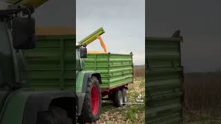 Vršaj kukuruza Čačak 🌽🌽 [upl. by Lorens]