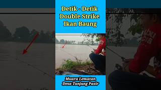 Mancing ikan Baung umpan kucur double strikeshorts [upl. by Rigby]