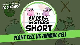 Plant vs Animal Cell  Amoeba Sisters Shorts [upl. by Bolt538]