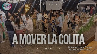 A mover la colita DUVOZ cumbia [upl. by Ahsieat283]