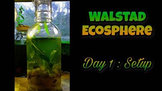 Improved Ecosphere Setup  walstad method sealed self sustaining [upl. by Walls]