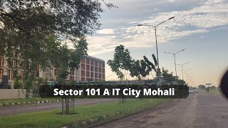 Sector 101A IT City Mohali Punjab property plots Sector101aitcitymohali mohali [upl. by Schnorr]