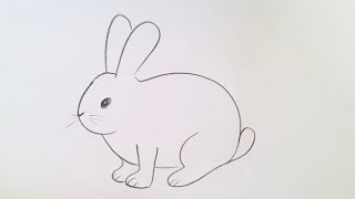 how to draw rabbit drawing easy step by stepDrawingTalent [upl. by Enneibaf]