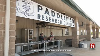 After 15 Years ODWC No Longer Funding Paddlefish Research By Selling Caviar [upl. by Phiona]