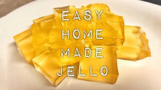 Homemade jello only 2 ingredients Kosher 👍🏻 [upl. by Arias770]