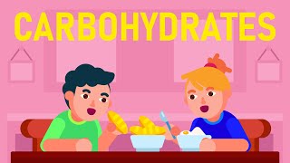 What are Carbohydrates What are its different Types [upl. by Nevaj]