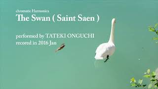 The Swan  Saint Saen [upl. by Iatnohs]