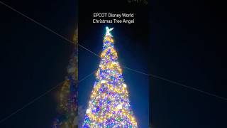 Christmas Tree at EPCOT Walt Disney World [upl. by Ashford]