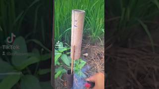 Another Successful Flight  Rocket Motor Lifter fyp rocket diwali fireworks rocketengine [upl. by Ornie142]