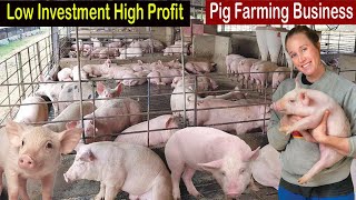 Pig Farming for Beginners  How to Start Business Pig Farm  Business Ideas 2022  Modern Farming [upl. by Annora]