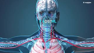 The Endocannabinoid System [upl. by Broome769]