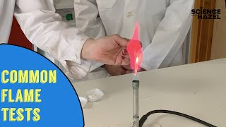 Flame Tests  Chemistry Practicals [upl. by Desiree919]