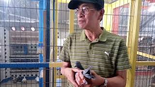 TDV AND SIR ALBERT LIM LOFT VISIT WIDOWHOOD SYSTEM PART 1 [upl. by Ahsemo]