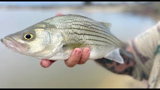 I think He Loves our Pond more than We Do fishinglife [upl. by Hauger]