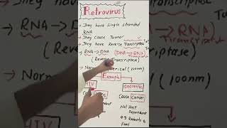 Retroviruses 11thclassbiology bioscience viralshort [upl. by Hacim]