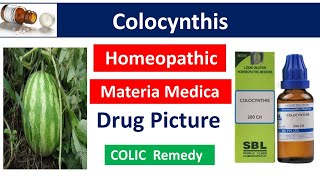 Colocynthis Homeopathic Medicine  Drug Picture  Materia Medica bhms materiamedica colocynthis [upl. by Decker]