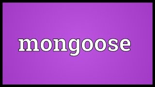 Mongoose Meaning [upl. by Oscar943]