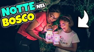 ANDIAMO NEL BOSCO DI NOTTE a Cercare Fate con Matilde [upl. by Meier947]