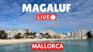 🔴 LIVE in MAGALUF Majorca Mallorca  7 April 2024 [upl. by Yawnoc]