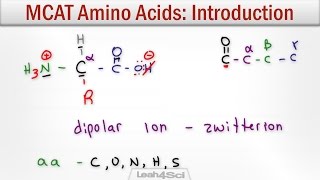 Amino Acids Intro to Structure Charge Classification and Reactions [upl. by Strenta]