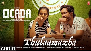 Thulaamazha Audio Song  CICADA  Sreejith Edavana Aparna Rajeev  Vandana Menon Vivek Muzhakkunnu [upl. by Nana]