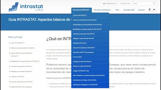 ✔ Declaración Intrastat ¿qué es y cómo se rellena [upl. by Milore185]