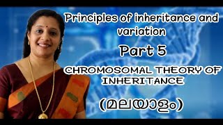 NEET Principles of Inheritance and Variations Part5 Chromosomal Theory of Inheritance Malayalam [upl. by Dloreh]