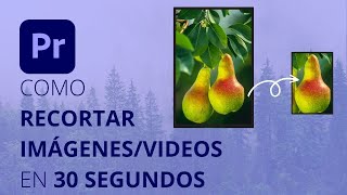 Recortar crop un video o una imagen en Premiere Pro [upl. by Doroteya]